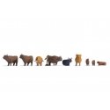 Highland Cattle -- pkg(9), HO, Noch Gmbh & Co 15728