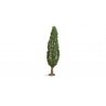 Poplar Tree - Master -- 7-1/16′ 18cm Tall, ALL, Noch Gmbh & Co 20130