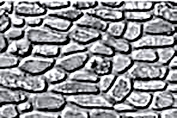 Patterned Plastic Sheet 2-Pack -- Field Stone 7-1/2 x 12′ 19.1 x 30.5cm, HO, JTT Miniature Tree 97442