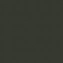Military Acrylic Color - 1oz 29.6ml -- FS-36231: F-16 `Have Glass` Dark Gray, All Scales, Tru-Color Paint 1206