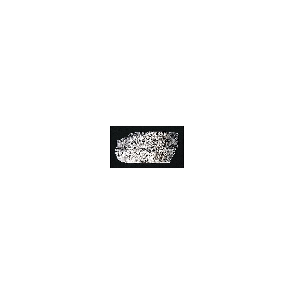 Earth Colors Liquid Pigment(TM) - 4oz 118mL Bottle -- Stone Gray, All Scales, Woodland Scenics 1218