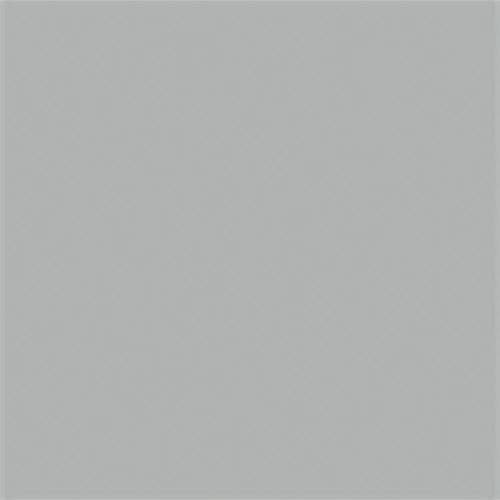 All-Purpose Enamel Spray Paint - 3oz 88.7mL Can -- Metallic Silver, All Scales, Testor Corp 1246