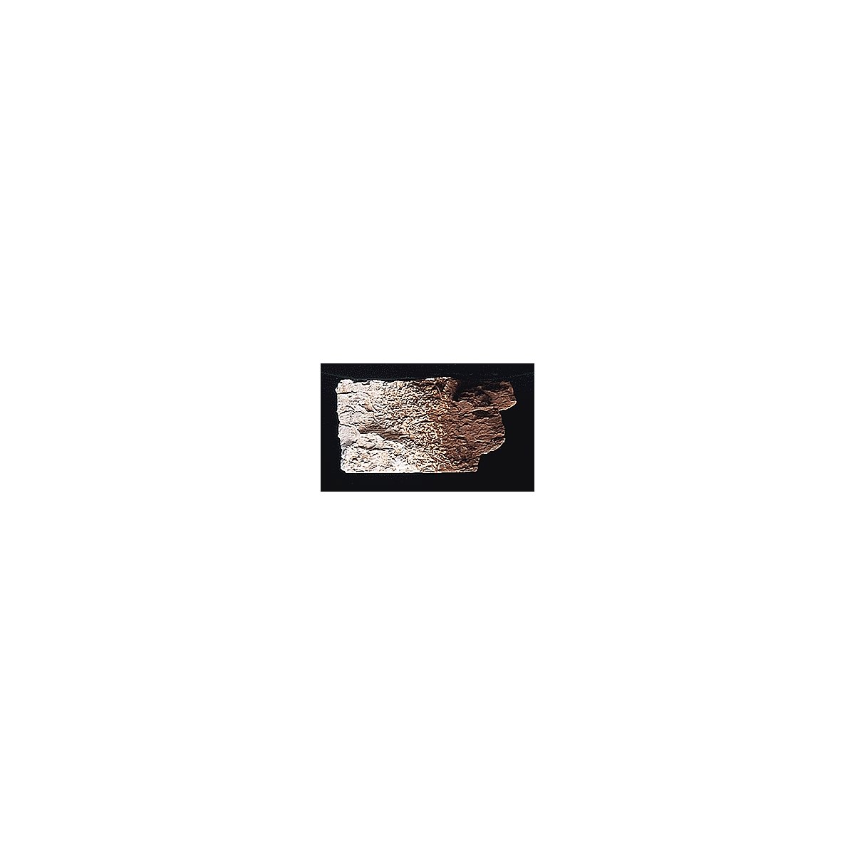 Earth Colors Liquid Pigment(TM) - 4oz 118mL Bottle -- Burnt Umber, All Scales, Woodland Scenics 1222