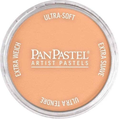 Panpastel Color Powder -- Burnt Sienna Light, All Scales, Pan Pastel 27407