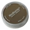 Panpastel Color Powder -- Raw Umber, All Scales, Pan Pastel 27805