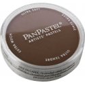 Panpastel Color Powder -- Burnt Sienna Shade, All Scales, Pan Pastel 27403