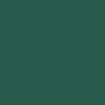 Sprayable Matte Paints - 1oz 29.6mL -- Dark Leaf Green, All Scales, Tru-Color Paint 436