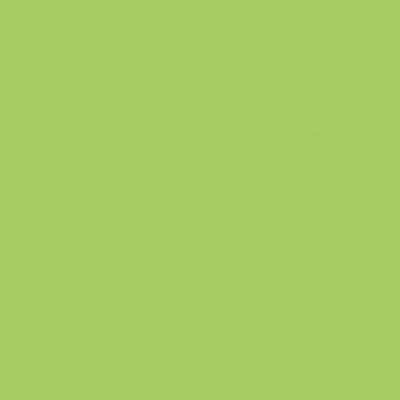 Sprayable Matte Paints - 1oz 29.6mL -- Roof Lime Green, All Scales, Tru-Color Paint 445