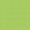 Sprayable Matte Paints - 1oz 29.6mL -- Roof Lime Green, All Scales, Tru-Color Paint 445