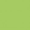 Sprayable Matte Paints - 1oz 29.6mL -- Roof Lime Green, All Scales, Tru-Color Paint 445