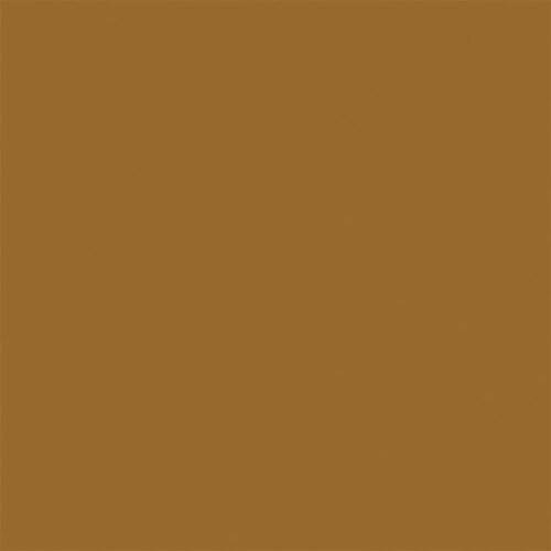 Sprayable Matte Paints - 1oz 29.6mL -- Dirt, All Scales, Tru-Color Paint 401
