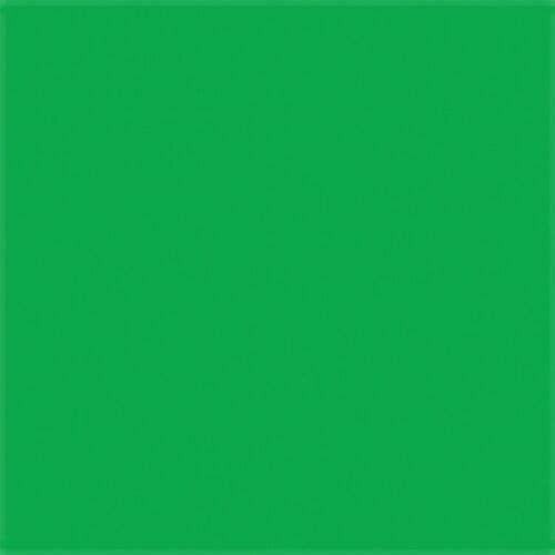 Paint PLA Enamel Flourescent Colors - 1/4oz 7.4mL -- Green, All Scales, Testor Corp 1174