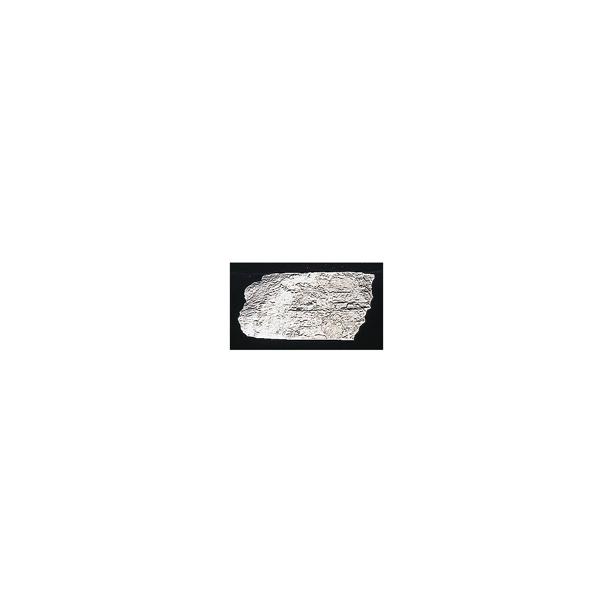 Earth Colors Liquid Pigment(TM) - 4oz 118mL Bottle -- Concrete, All Scales, Woodland Scenics 1217