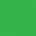 All-Purpose Enamel Paint - 1/4oz 7.4mL Bottle -- Green, All Scales, Testor Corp 1124