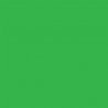 All-Purpose Enamel Paint - 1/4oz 7.4mL Bottle -- Green, All Scales, Testor Corp 1124