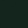 Railroad Color Acrylic Paints - 1oz 29.6mL -- Northern Pacific Dark Green, All Scales, Tru-Color Paint 57