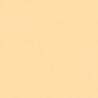 Railroad Color Acrylic Paints - 1oz 29.6mL -- Passenger Car Interior Cream, All Scales, Tru-Color Paint 225