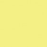 Railroad Color Acrylic Paints - 2oz 59.1mL -- Seaboard Coast Line Yellow, All Scales, Tru-Color Paint 2315