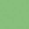 Railroad Color Acrylic Paints - 2oz 59.1mL -- Seaboard Air Line Mint Green, All Scales, Tru-Color Paint 2337