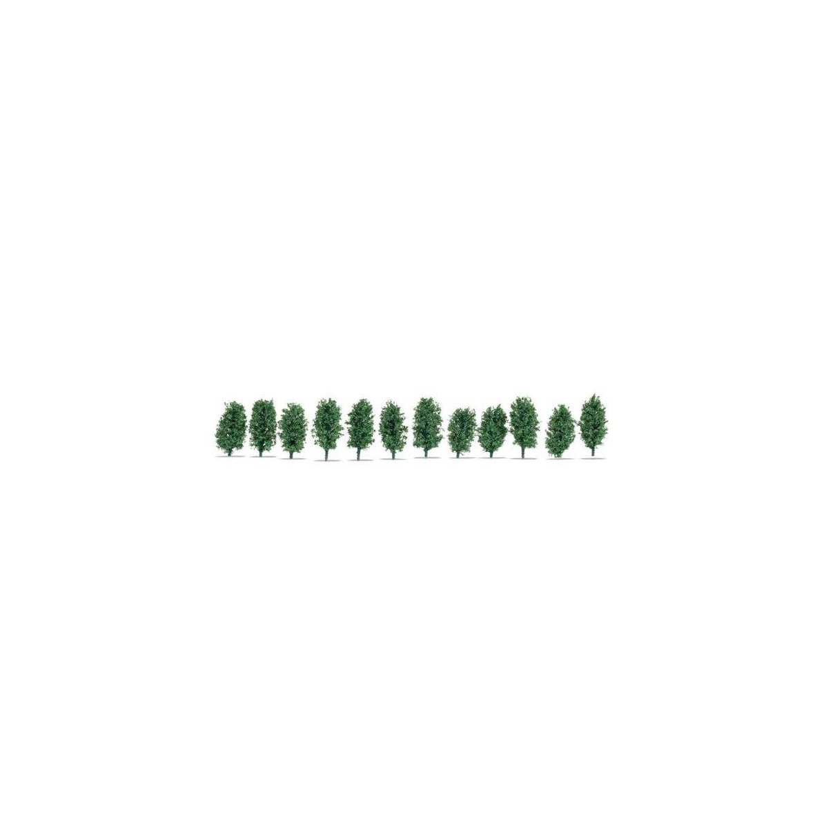 Thuja Hedge -- 1-3/16′ 3cm Tall, ALL, Noch Gmbh & Co 21547