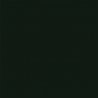 Flat Brushable Color Acrylic Paints - 1oz 29.6mL -- Great Northern Empire Builder Green, All Scales, Tru-Color Paint 839