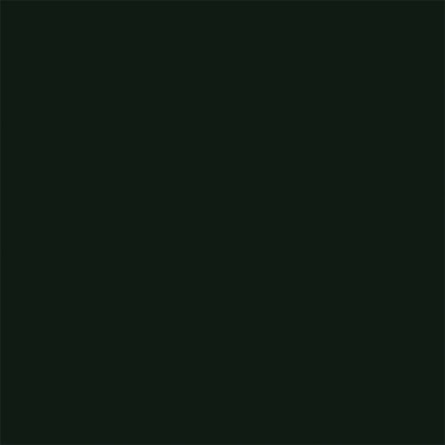 Flat Brushable Color Acrylic Paints - 1oz 29.6mL -- Great Northern Empire Builder Green, All Scales, Tru-Color Paint 839