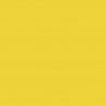 Metallic Acrylic Paints - 1oz 29.6mL -- Goldenrod Yellow, All Scales, Tru-Color Paint 724