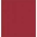 Sprayable Matte Paints - 1oz 29.6ml -- Generic Rust, All Scales, Tru-Color Paint 457
