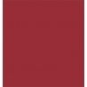 Sprayable Matte Paints - 1oz 29.6ml -- Generic Rust, All Scales, Tru-Color Paint 457