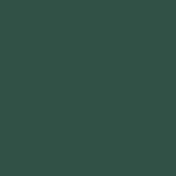 Railroad Color Acrylic Paints - 1oz 29.6mL -- Passenger Car Interior Dark Green, All Scales, Tru-Color Paint 231