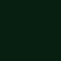 Railroad Color Acrylic Paints - 1oz 29.6mL -- Central Railroad of New Jersey Deep Sea Gre, All Scales, Tru-Color Paint 233