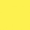 Railroad Color Acrylic Paints - 1oz 29.6mL -- Illinois Terminal Yellow, All Scales, Tru-Color Paint 304