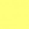 Railroad Color Acrylic Paints - 1oz 29.6mL -- Seaboard Coast Line Yellow, All Scales, Tru-Color Paint 315