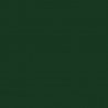 Railroad Color Acrylic Paints - 1oz 29.6mL -- Seaboard Air Line Dark Green, All Scales, Tru-Color Paint 338