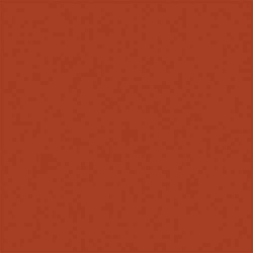 Sprayable Matte Paints - 1oz 29.6mL -- Orange Rust, All Scales, Tru-Color Paint 405