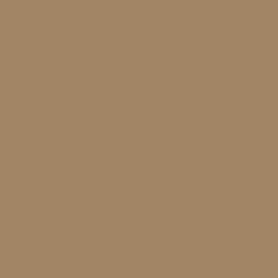 Railroad Color Acrylic Paints - 1oz 29.6mL -- Denver & Rio Grande Western Depot Buff, All Scales, Tru-Color Paint 285