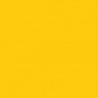 Railroad Color Acrylic Paints - 1oz 29.6mL -- Missouri-Kansas-Texas Yellow, All Scales, Tru-Color Paint 319