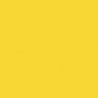 Railroad Color Acrylic Paints - 1oz 29.6mL -- Florida East Coast Modern Yellow, All Scales, Tru-Color Paint 321