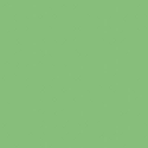 Railroad Color Acrylic Paints - 1oz 29.6mL -- Seaboard Air Line Mint Green, All Scales, Tru-Color Paint 337