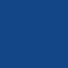 Railroad Color Acrylic Paints - 1oz 29.6mL -- Dakota, Minnesota & Eastern / Iowa, Chicago, All Scales, Tru-Color Paint 137