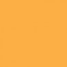 Railroad Color Acrylic Paints - 1oz 29.6mL -- Dakota, Minnesota & Eastern / Iowa, Chicago, All Scales, Tru-Color Paint 138