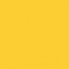Railroad Color Acrylic Paints - 1oz 29.6mL -- Erie-Lackawanna Yellow, All Scales, Tru-Color Paint 144