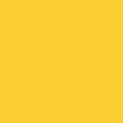 Railroad Color Acrylic Paints - 1oz 29.6mL -- Erie-Lackawanna Yellow, All Scales, Tru-Color Paint 144