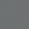 Railroad Color Acrylic Paints - 1oz 29.6mL -- Baltimore & Ohio / Chesapeake & Ohio Gray, All Scales, Tru-Color Paint 179