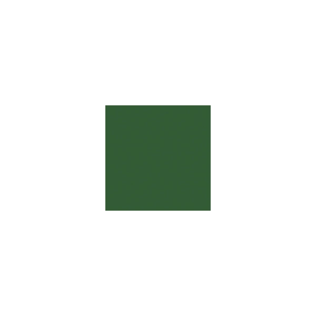 Railroad Color Acrylic Paints - 2oz 59.1mL -- Burlington Northern Cascade Green, All Scales, Tru-Color Paint 2067
