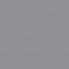 Railroad Color Acrylic Paints - 2oz 59.1mL -- Silver, All Scales, Tru-Color Paint 2077