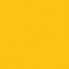 Railroad Color Acrylic Paints - 1oz 29.6mL -- Chessie System Yellow, All Scales, Tru-Color Paint 305