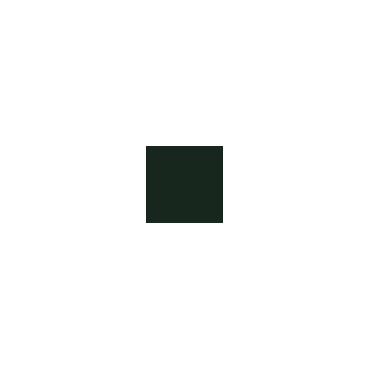 Railroad Color Acrylic Paints - 1oz 29.6mL -- Burlington Northern & Santa Fe Green, All Scales, Tru-Color Paint 62