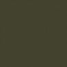 Railroad Color Acrylic Paints - 1oz 29.6mL -- Canadian National Green, All Scales, Tru-Color Paint 34