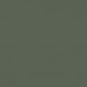 Railroad Color Acrylic Paints - 1oz 29.6mL -- British Columbia Railway Light Green, All Scales, Tru-Color Paint 124